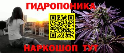 молекула духа Можга